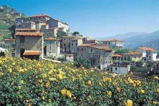 Casa Indipendente in vendita a San Biagio Della Cima - Rif. 159-253